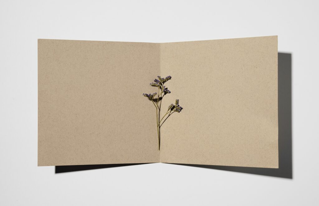 top-view-stationery-paper-with-plant